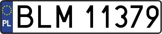 BLM11379