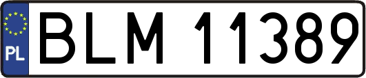 BLM11389