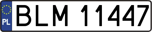 BLM11447