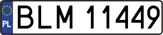 BLM11449