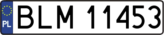 BLM11453