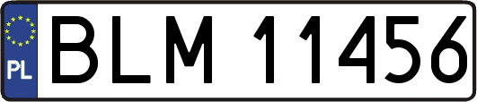 BLM11456