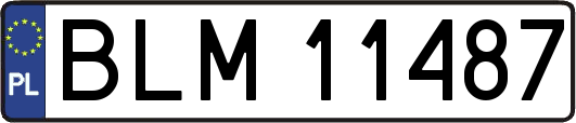 BLM11487