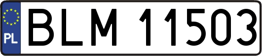 BLM11503