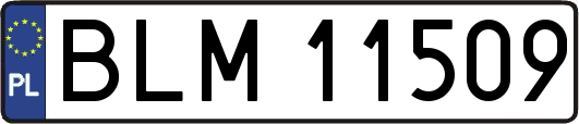 BLM11509