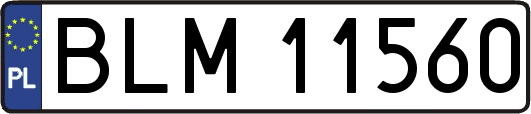 BLM11560