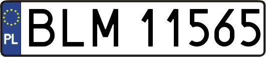 BLM11565