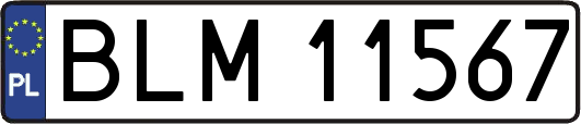 BLM11567