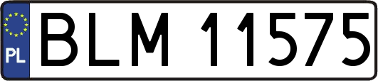 BLM11575