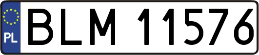 BLM11576