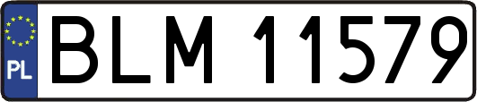 BLM11579