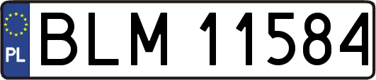 BLM11584