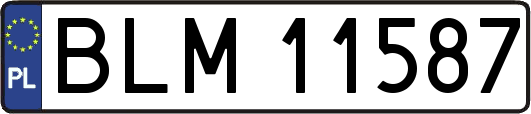 BLM11587