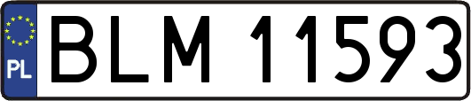 BLM11593