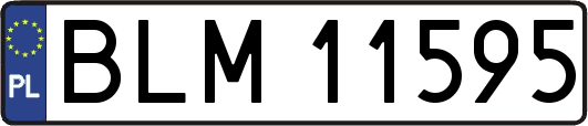 BLM11595