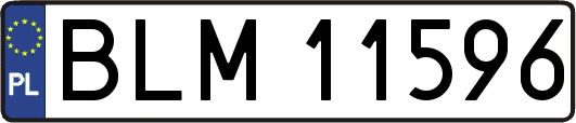 BLM11596