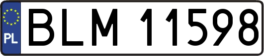 BLM11598