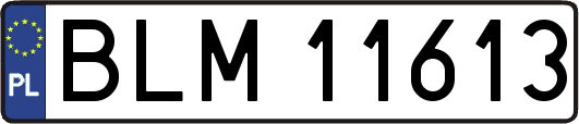 BLM11613