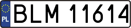 BLM11614