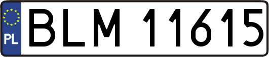 BLM11615