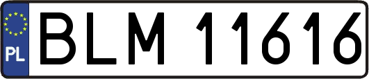 BLM11616