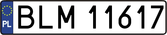 BLM11617