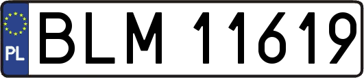BLM11619