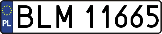 BLM11665