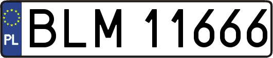 BLM11666