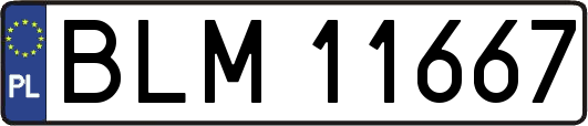 BLM11667