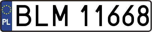 BLM11668