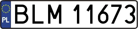 BLM11673