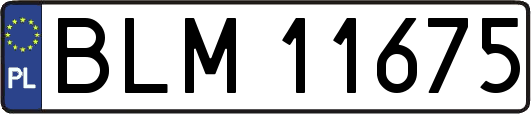 BLM11675
