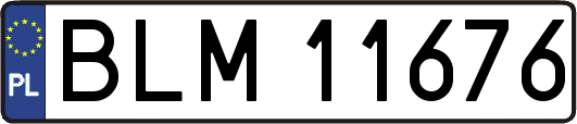 BLM11676