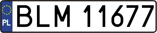 BLM11677