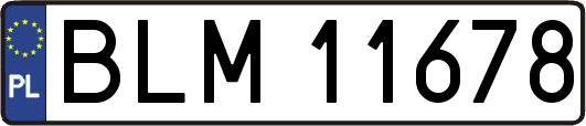 BLM11678