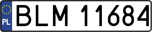 BLM11684