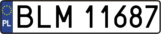 BLM11687