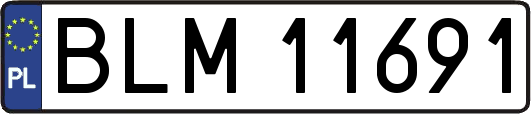 BLM11691