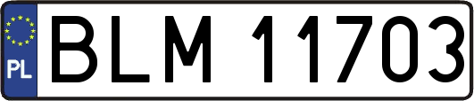 BLM11703