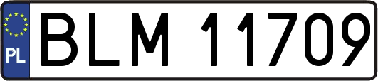 BLM11709