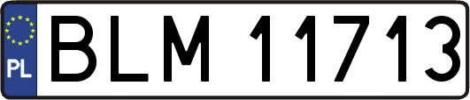 BLM11713