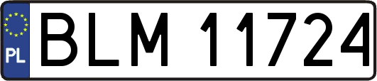 BLM11724