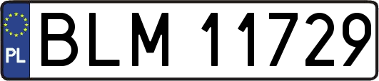 BLM11729
