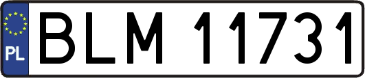BLM11731