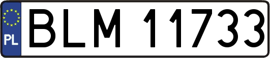 BLM11733