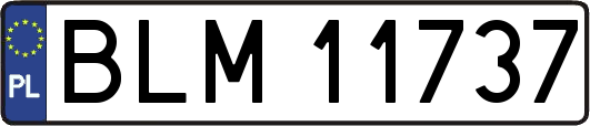 BLM11737