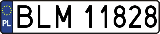 BLM11828