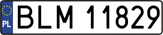 BLM11829