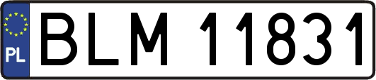 BLM11831